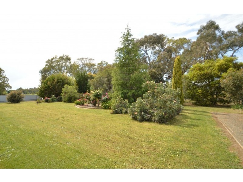 50 Boggy Creek Road, Moyhu VIC 3732