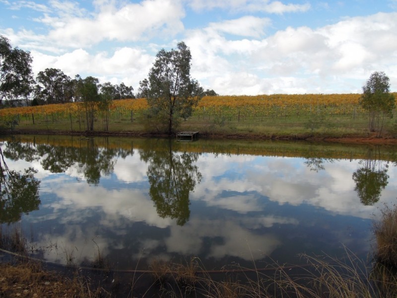 1375 Beechworth Wangaratta Road, Everton Upper VIC 3678