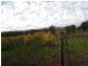1375 Beechworth Wangaratta Road, Everton Upper VIC 3678