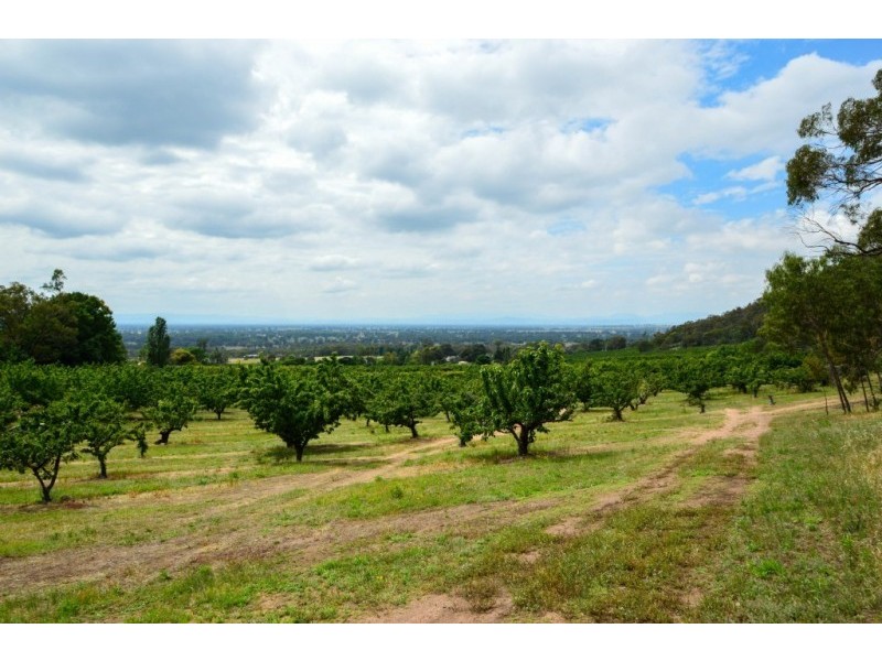 111 Orchard Drive, Glenrowan VIC 3675