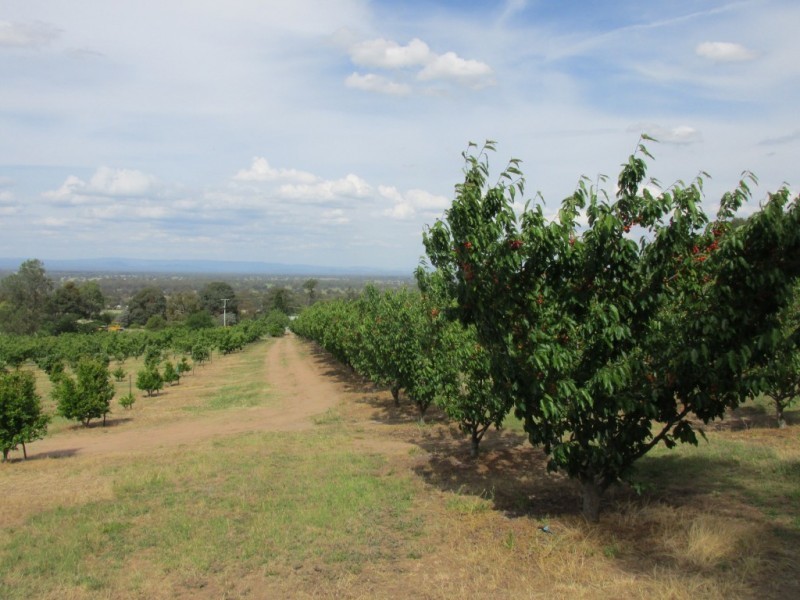 111 Orchard Drive, Glenrowan VIC 3675