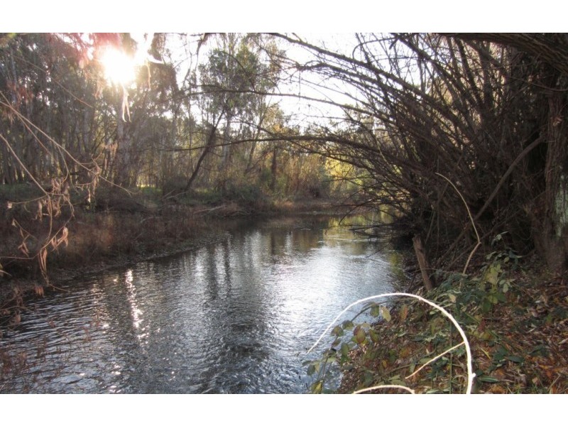 218 Edi Cheshunt Road, Edi VIC 3678