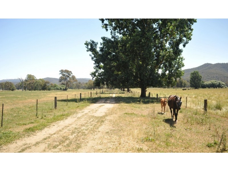 218 Edi Cheshunt Road, Edi VIC 3678