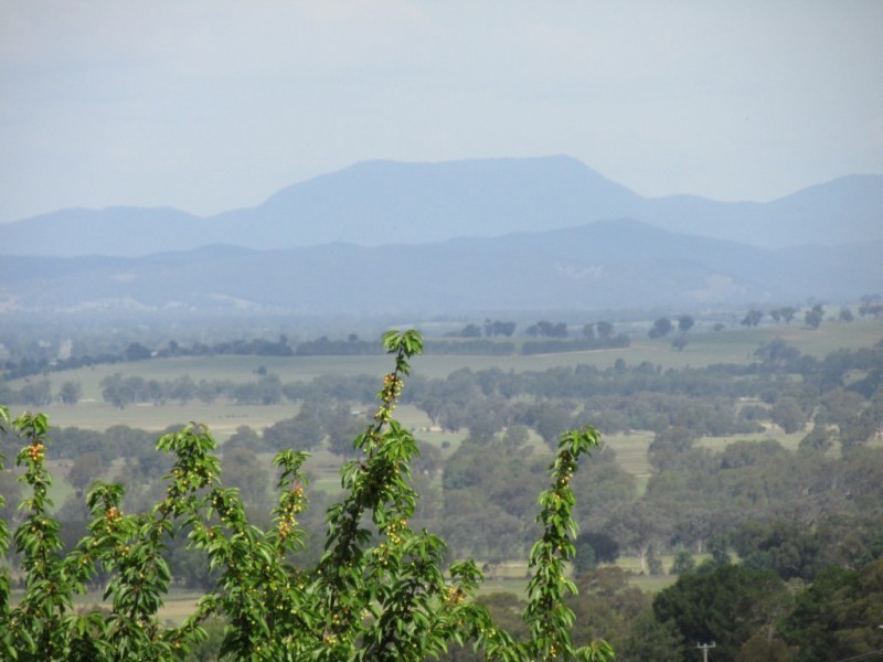 Lot 1, 111 Orchard Drive, Glenrowan VIC 3675