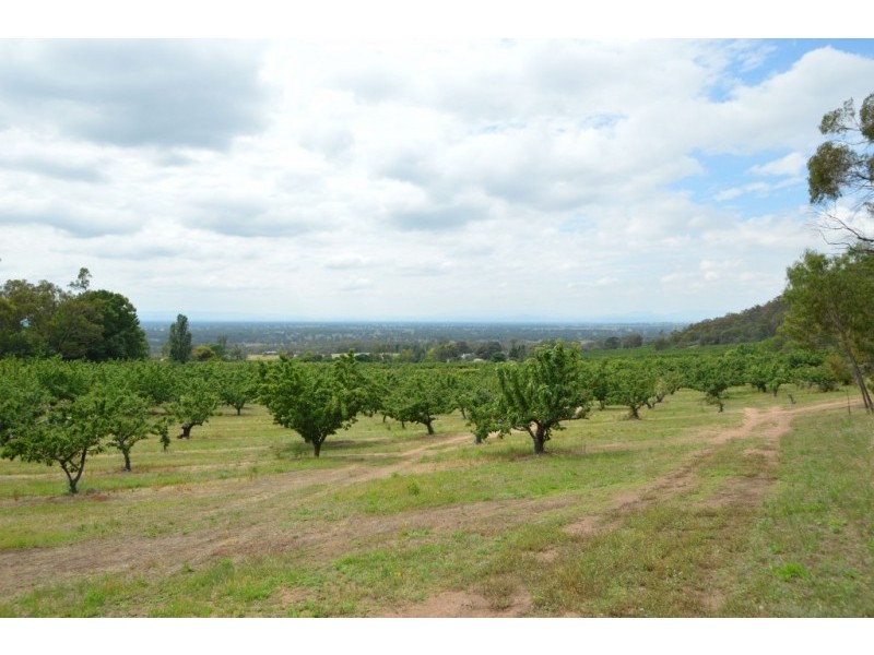 Lot 1, 111 Orchard Drive, Glenrowan VIC 3675