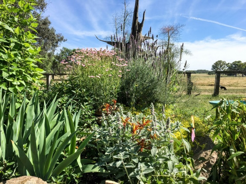 714 Wangandary Road, Wangandary VIC 3678