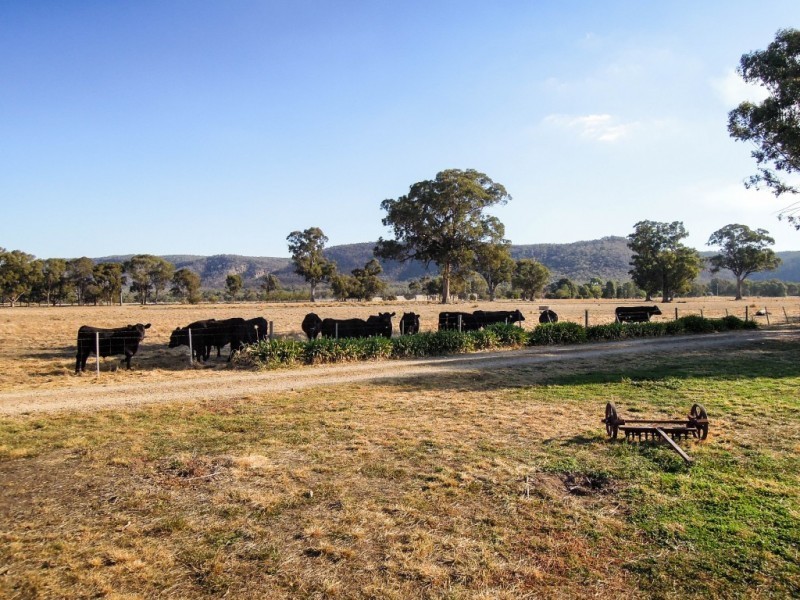 714 Wangandary Road, Wangandary VIC 3678