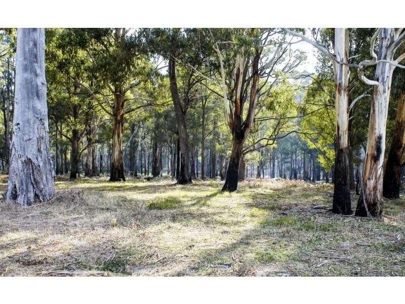 133 Burders Lane, Whitlands VIC 3678