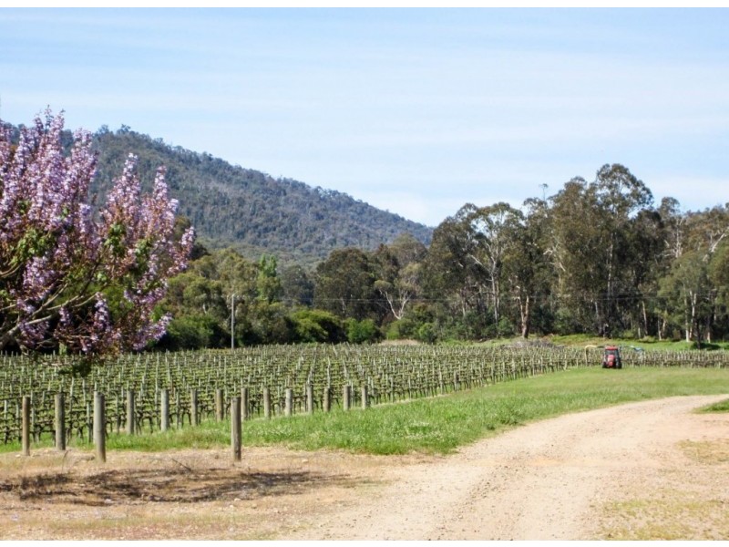 70 Frascas Lane, Myrrhee VIC 3732