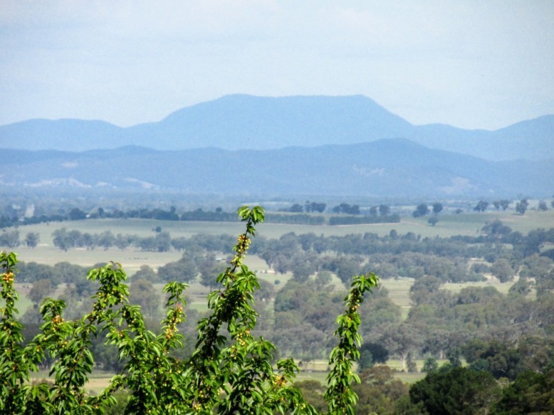 Lot 1, 111 Orchard Drive, Glenrowan VIC 3675