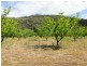 Lot 1, 111 Orchard Drive, Glenrowan VIC 3675