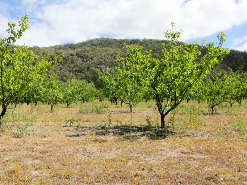 Lot 1, 111 Orchard Drive, Glenrowan VIC 3675