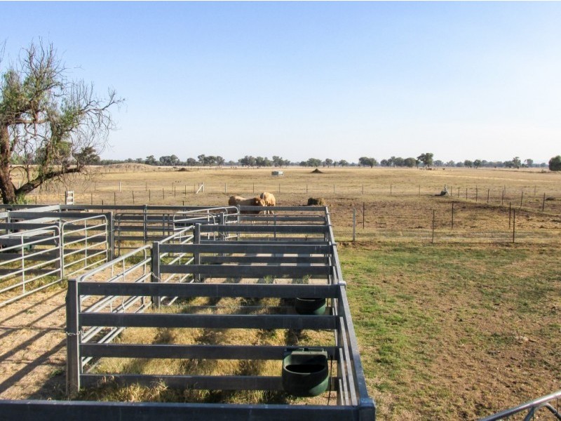 66 Londrigan Tarrawingee Road, Londrigan VIC 3678