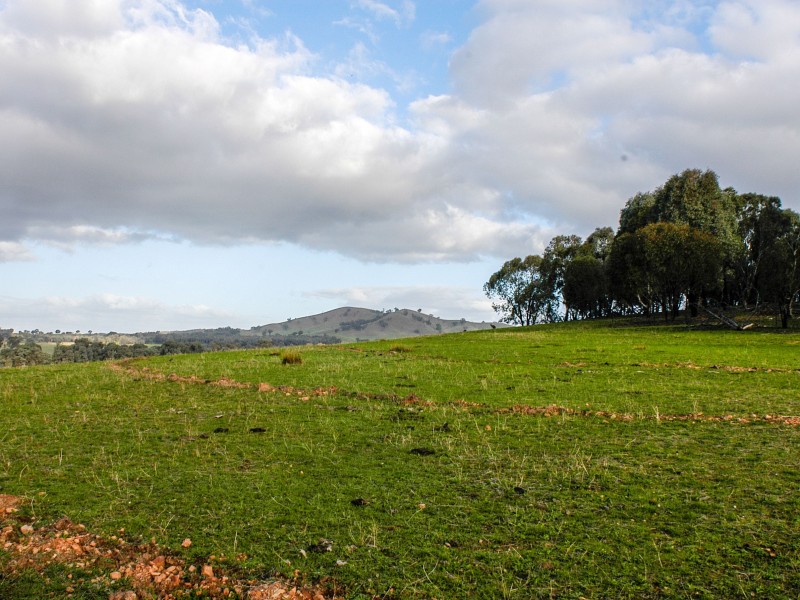 Lot 1,  Greta Road, Glenrowan West VIC 3675