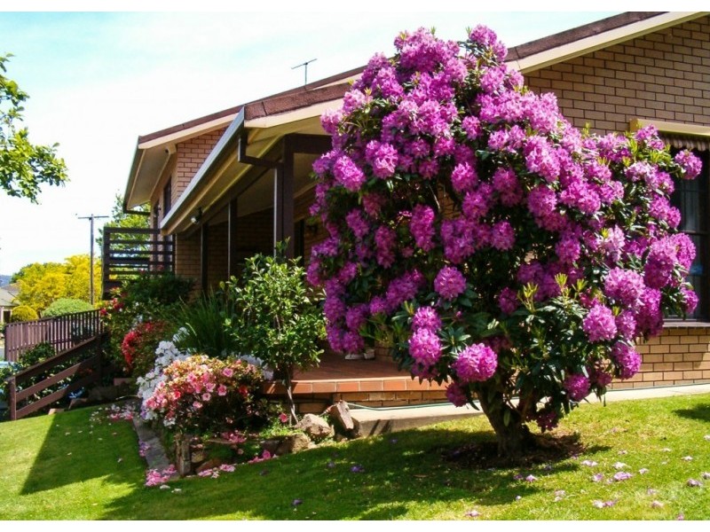 18 Willow Drive, Wangaratta VIC 3677