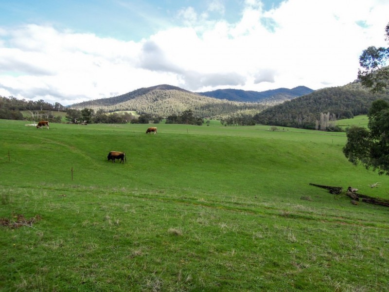 Lot 2, 1990 Rose River Road, Rose River VIC 3678