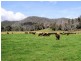 Lot 2, 1990 Rose River Road, Rose River VIC 3678