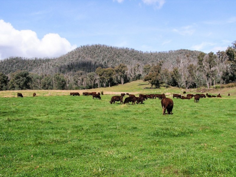 Lot 2, 1990 Rose River Road, Rose River VIC 3678