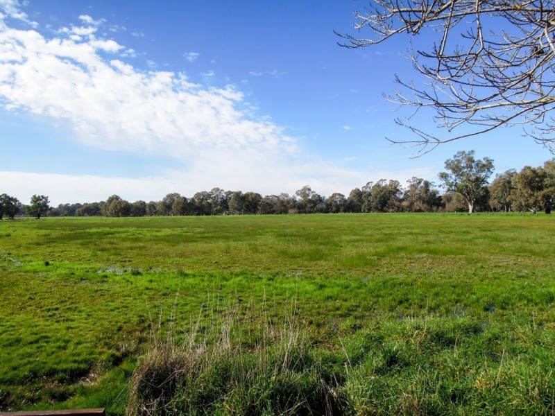 2537 Wangaratta Whitfield Road, Moyhu VIC 3732