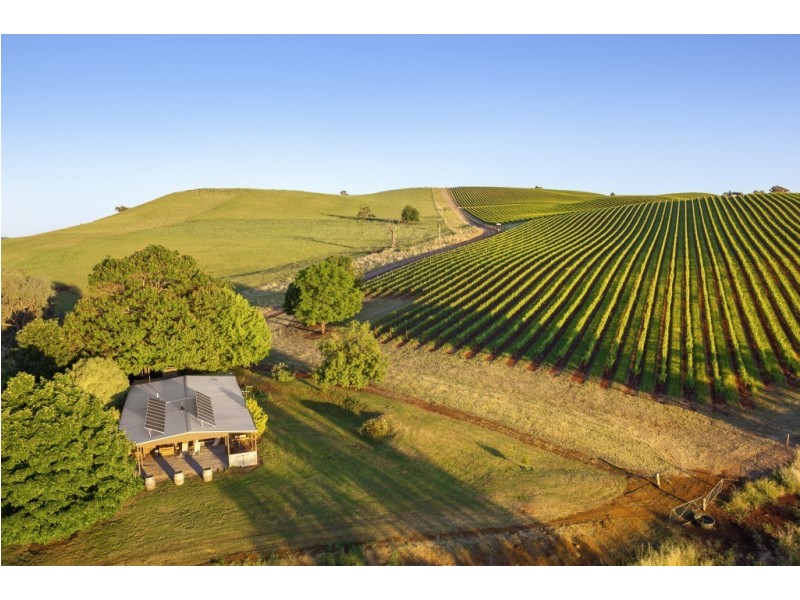 469 Bella Vista Road, Myrrhee VIC 3732