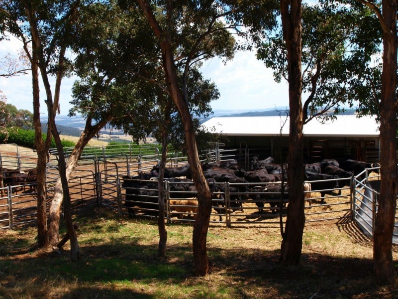 469 Bella Vista Road, Myrrhee VIC 3732