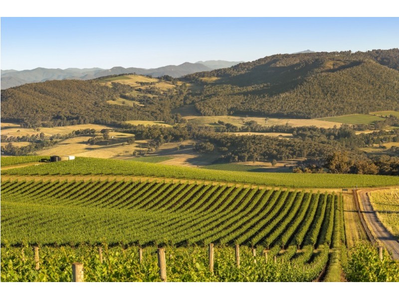 469 Bella Vista Road, Myrrhee VIC 3732