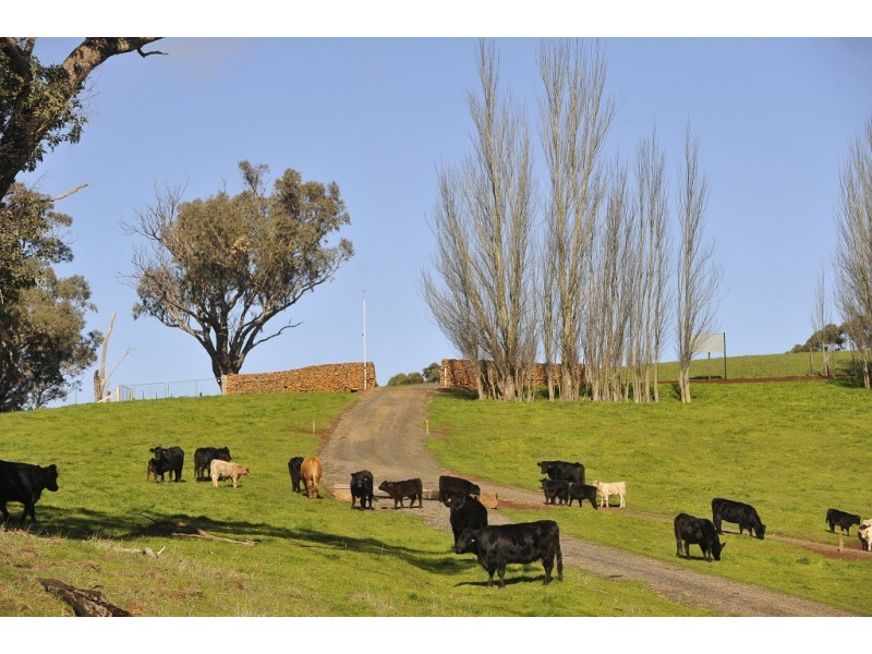 469 Bella Vista Road, Myrrhee VIC 3732