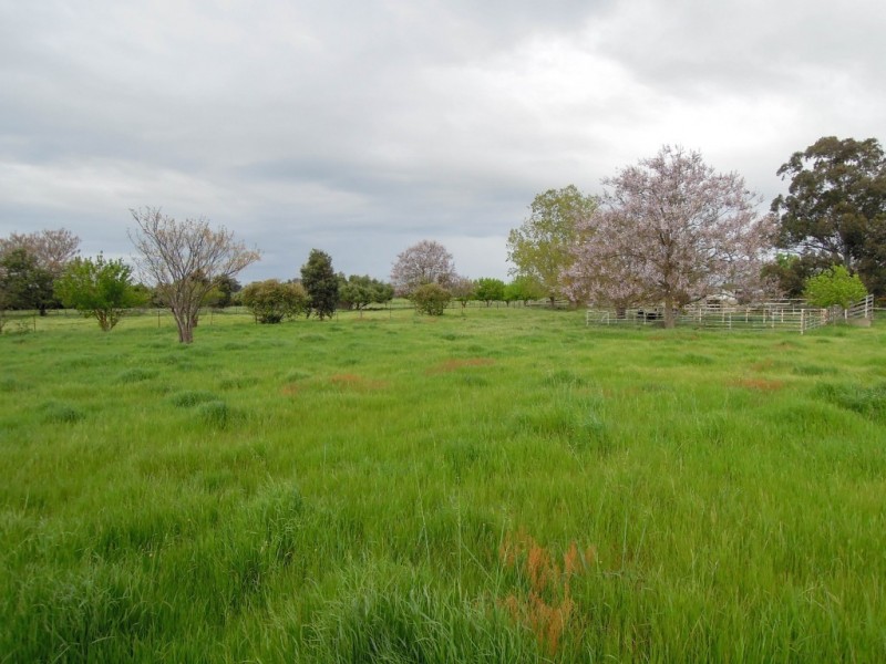 CA X 1202 Wangaratta Eldorado Road, Londrigan VIC 3678