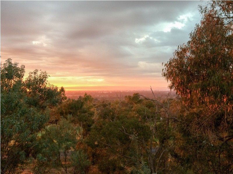 183 Orchard Drive, Glenrowan VIC 3675