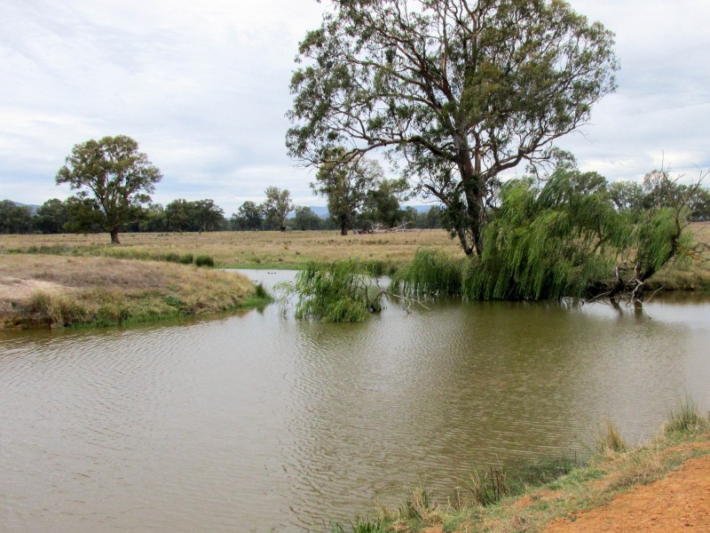 CNR Wangaratta-Whitfield Road & Furlans Lane, Docker VIC 3678