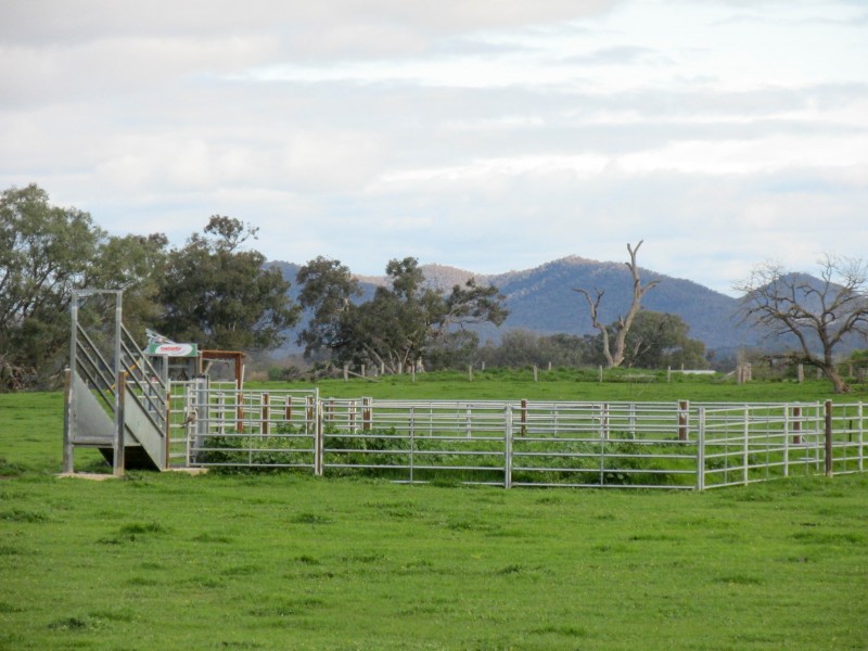CNR Wangaratta-Whitfield Road & Furlans Lane, Docker VIC 3678