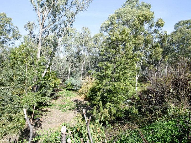 12 Chisholm Street, Wangaratta VIC 3677