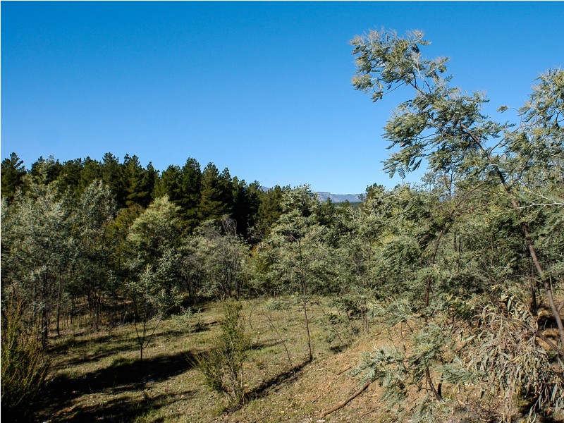 Dodgsons Lane, Carboor VIC 3678