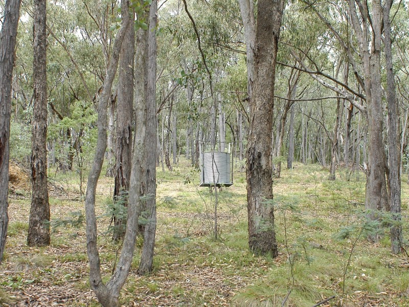 Dodgsons Lane, Carboor VIC 3678