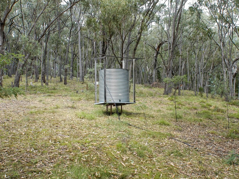 Dodgsons Lane, Carboor VIC 3678