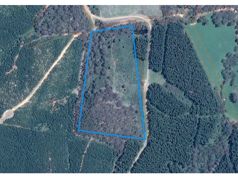 Dodgsons Lane, Carboor VIC 3678