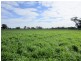 Lot 2, 1383 Federation Way, Springhurst VIC 3682