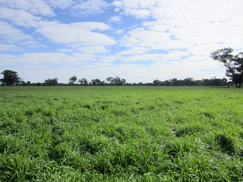 Lot 2, 1383 Federation Way, Springhurst VIC 3682