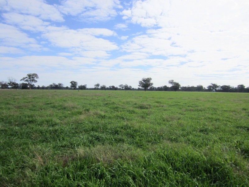Lot 2, 1383 Federation Way, Springhurst VIC 3682