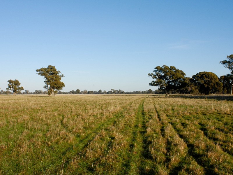 Lot 2, 1383 Federation Way, Springhurst VIC 3682