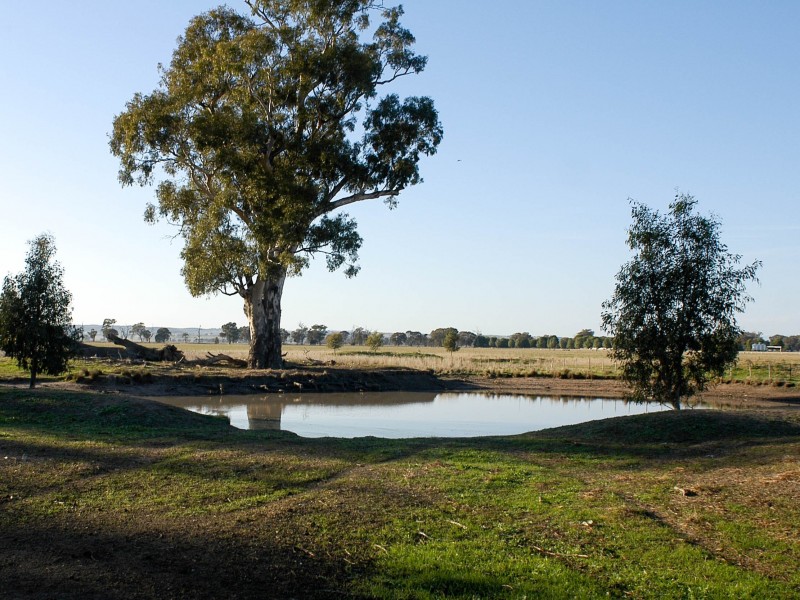 Lot 2, 1383 Federation Way, Springhurst VIC 3682