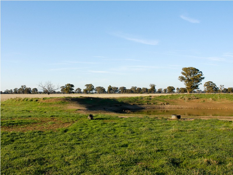 Lot 3, 1383 Federation Way, Springhurst VIC 3682