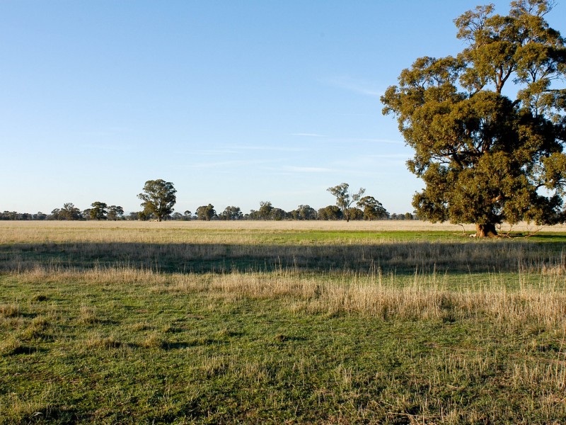 Lot 3, 1383 Federation Way, Springhurst VIC 3682