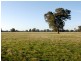 Lot 3, 1383 Federation Way, Springhurst VIC 3682