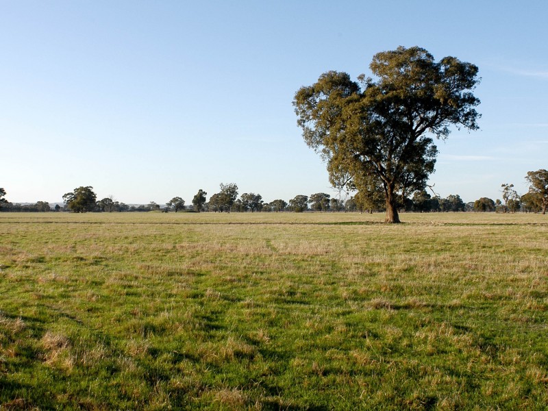 Lot 3, 1383 Federation Way, Springhurst VIC 3682