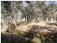 1045 Wangaratta-Yarrawonga Road, Killawarra VIC 3678