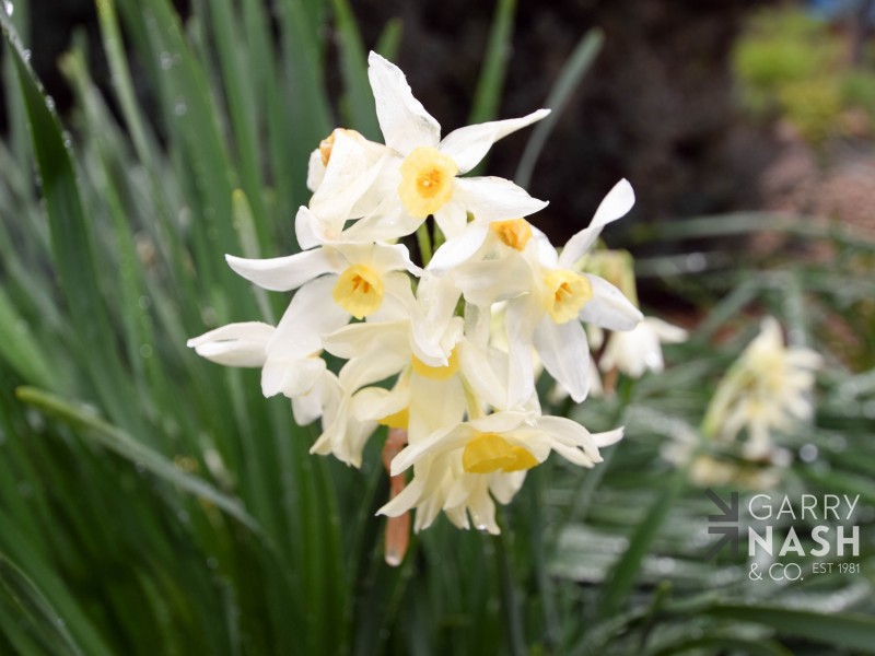 194 River Road, Tarrawingee VIC 3678