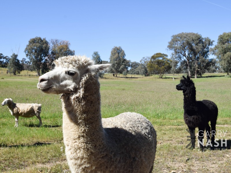 18 Rifle Range Road, Glenrowan VIC 3675