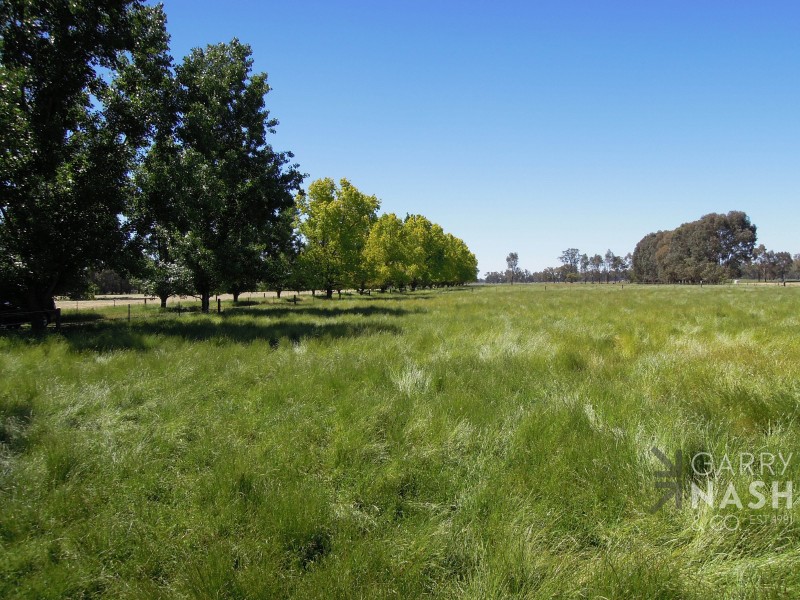 288 Youngers Lane, Hansonville VIC 3675