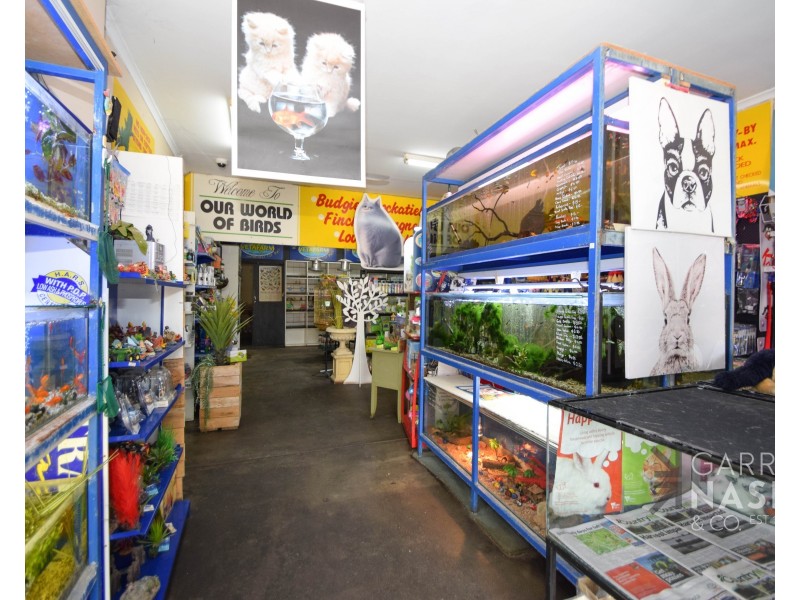 41 Rowan Street, Wangaratta VIC 3677